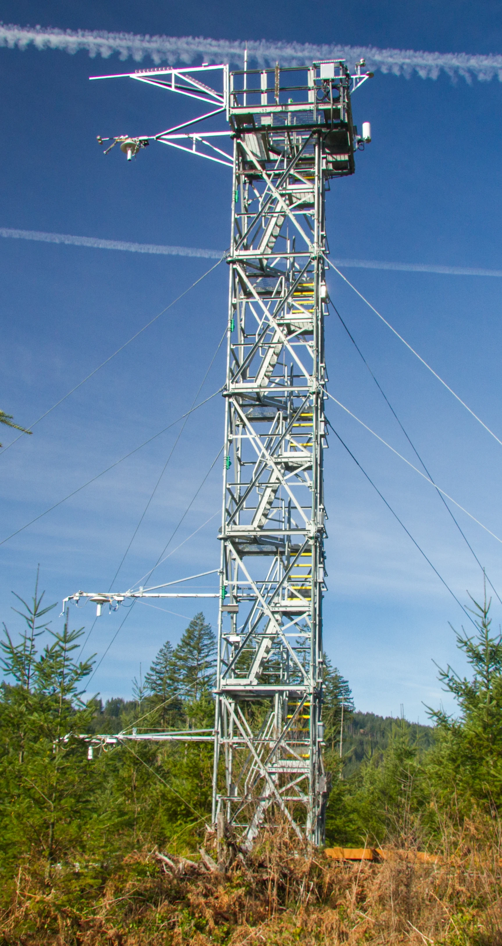Example image